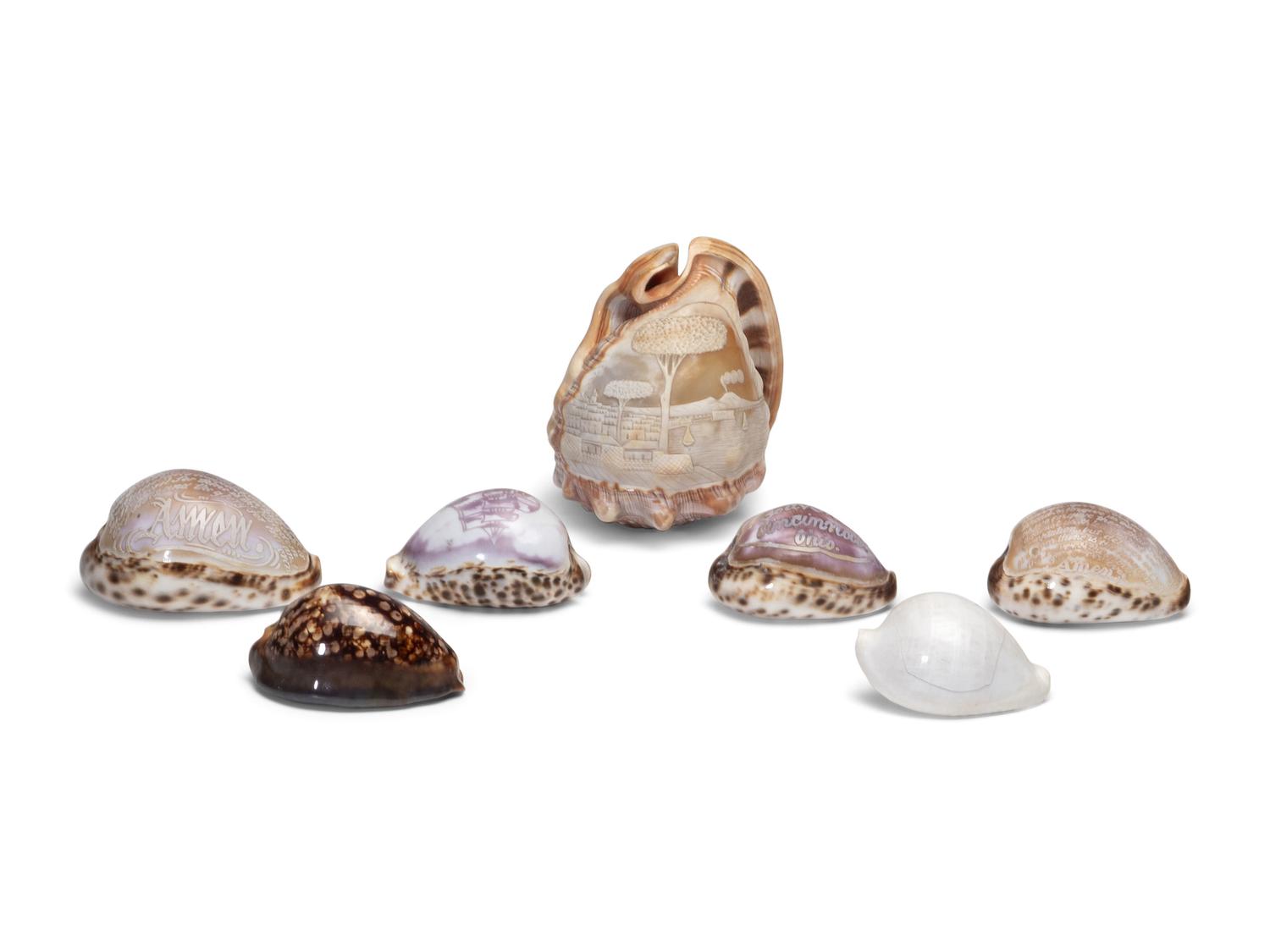 Five Carved Cowrie Shells