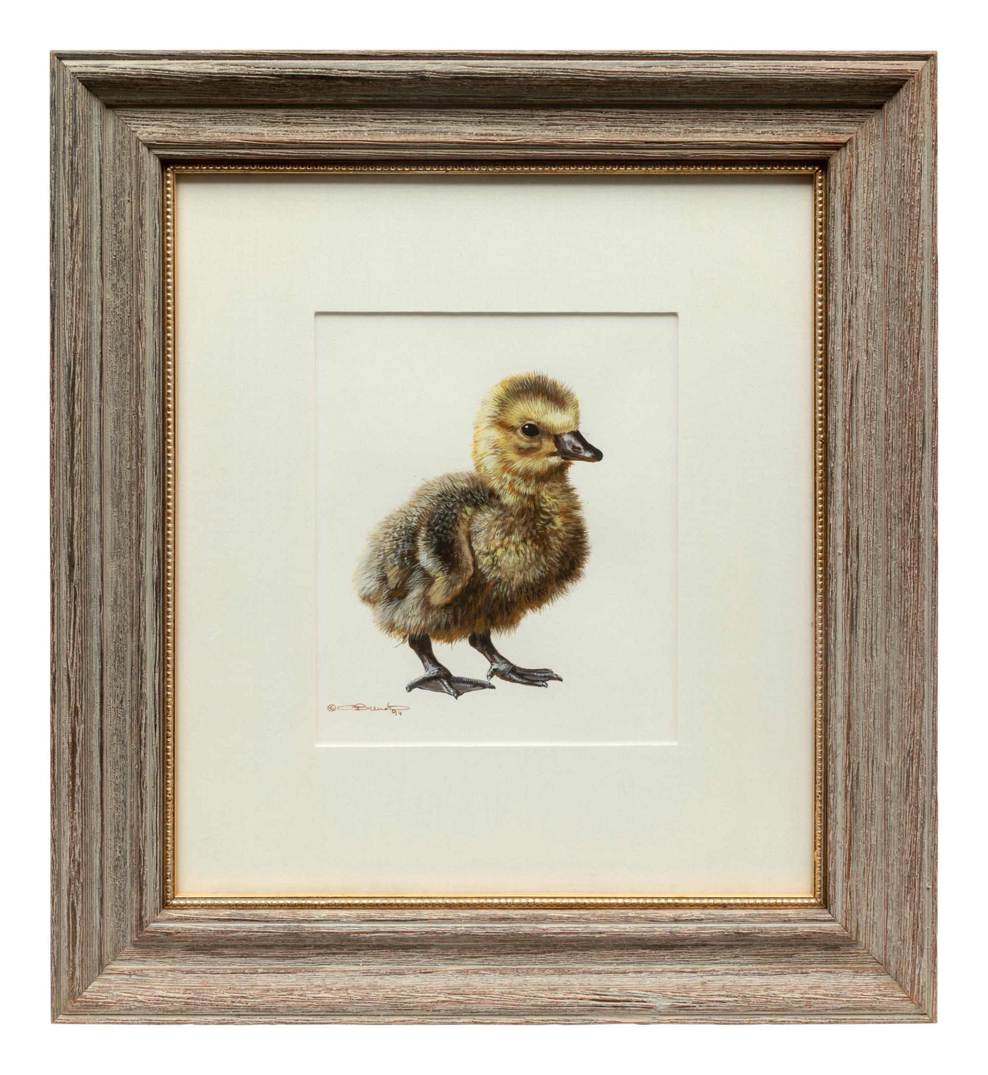 Gosling Study ,1994