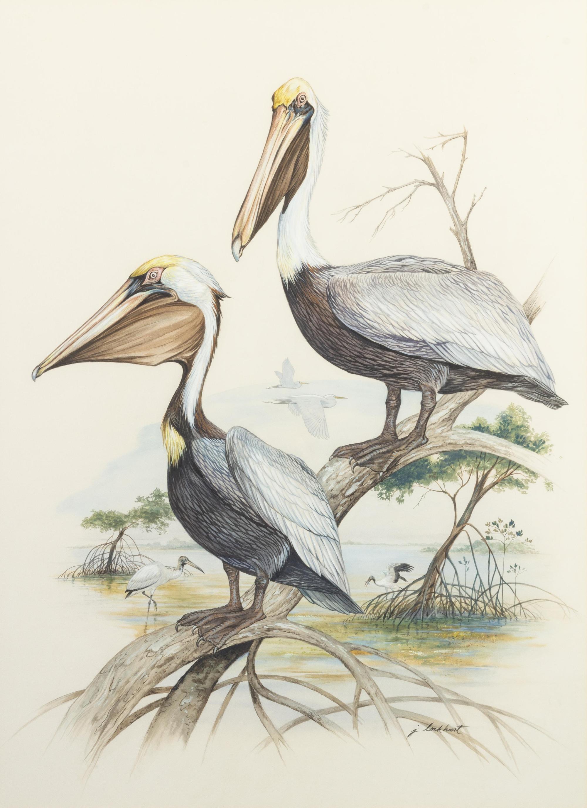 Florida Bird