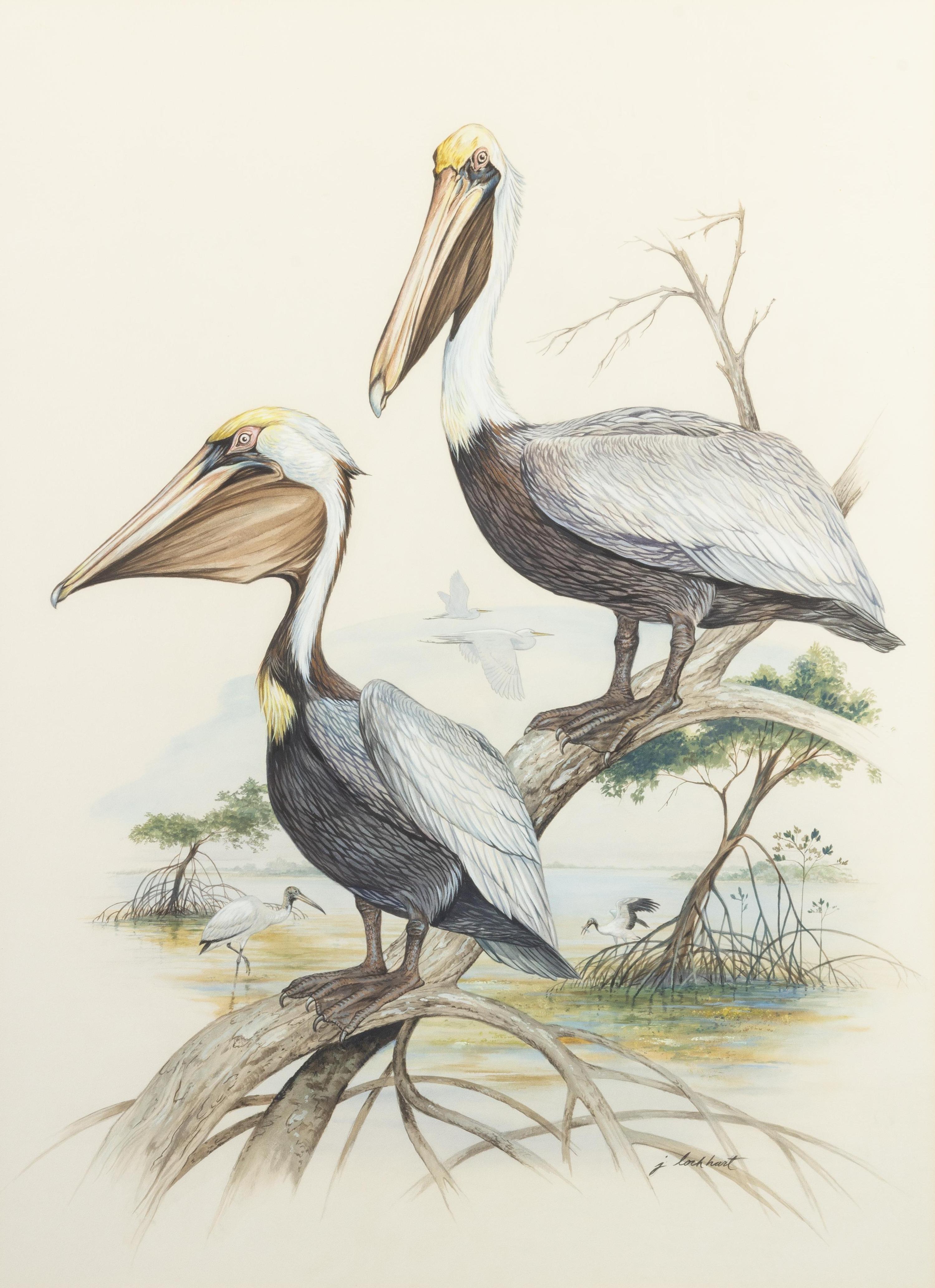 Florida Bird