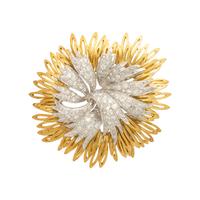 Bicolor Gold and Diamond Brooch