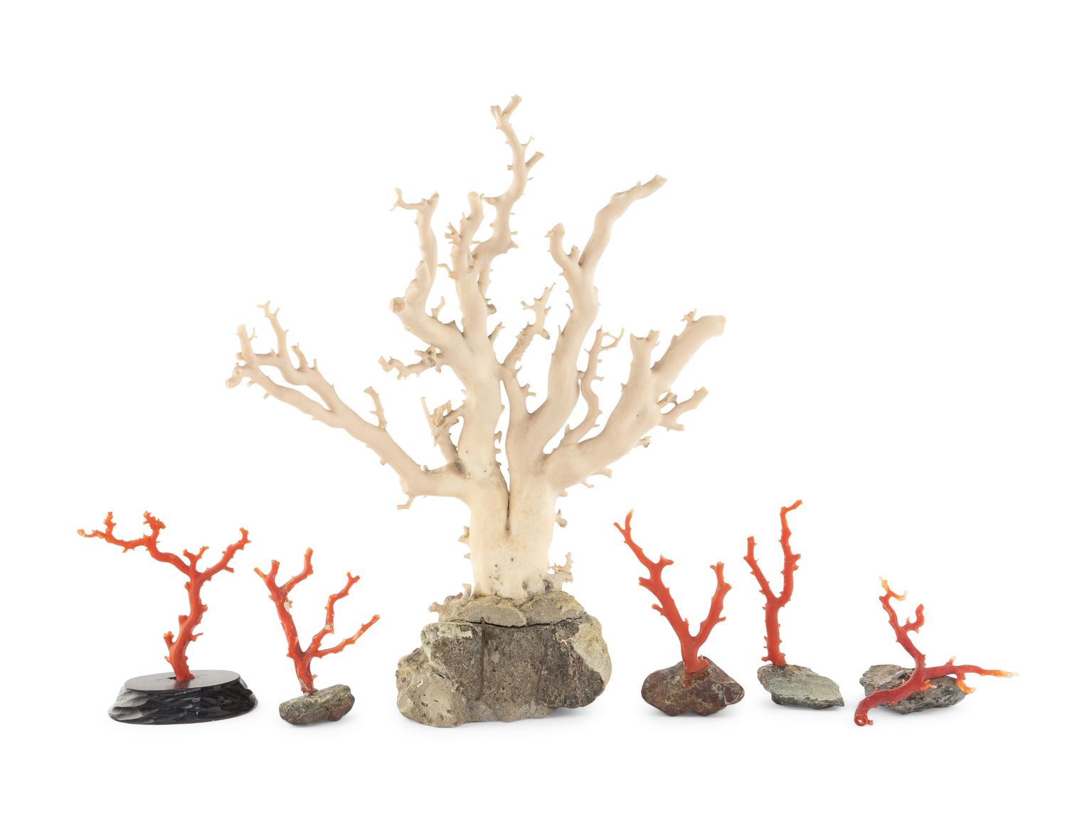 Six Chinese Coral Branches