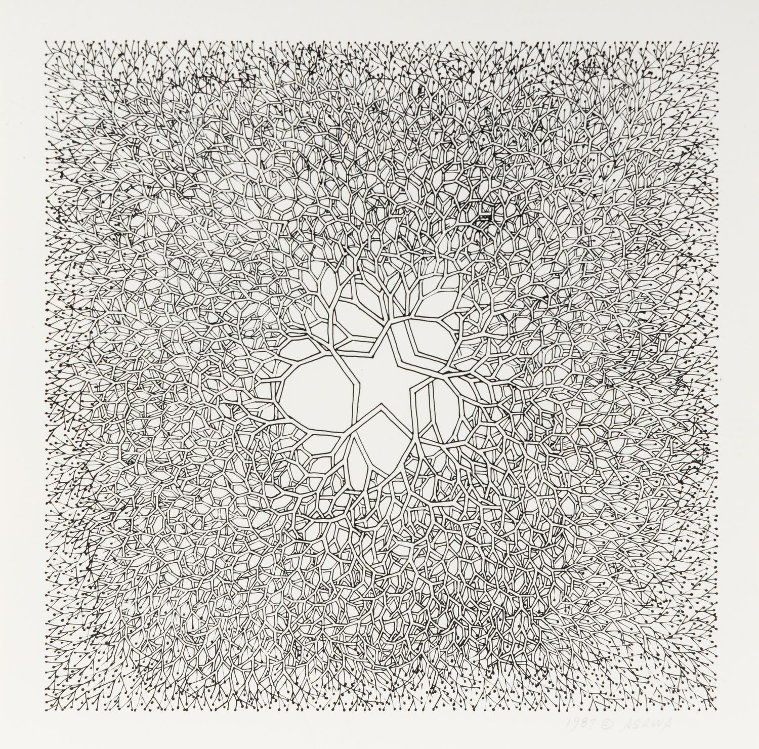 Desert Star (P.004, Tied wire tree with asymmetrical five pointed star in center branching to an enclosed square), 1987