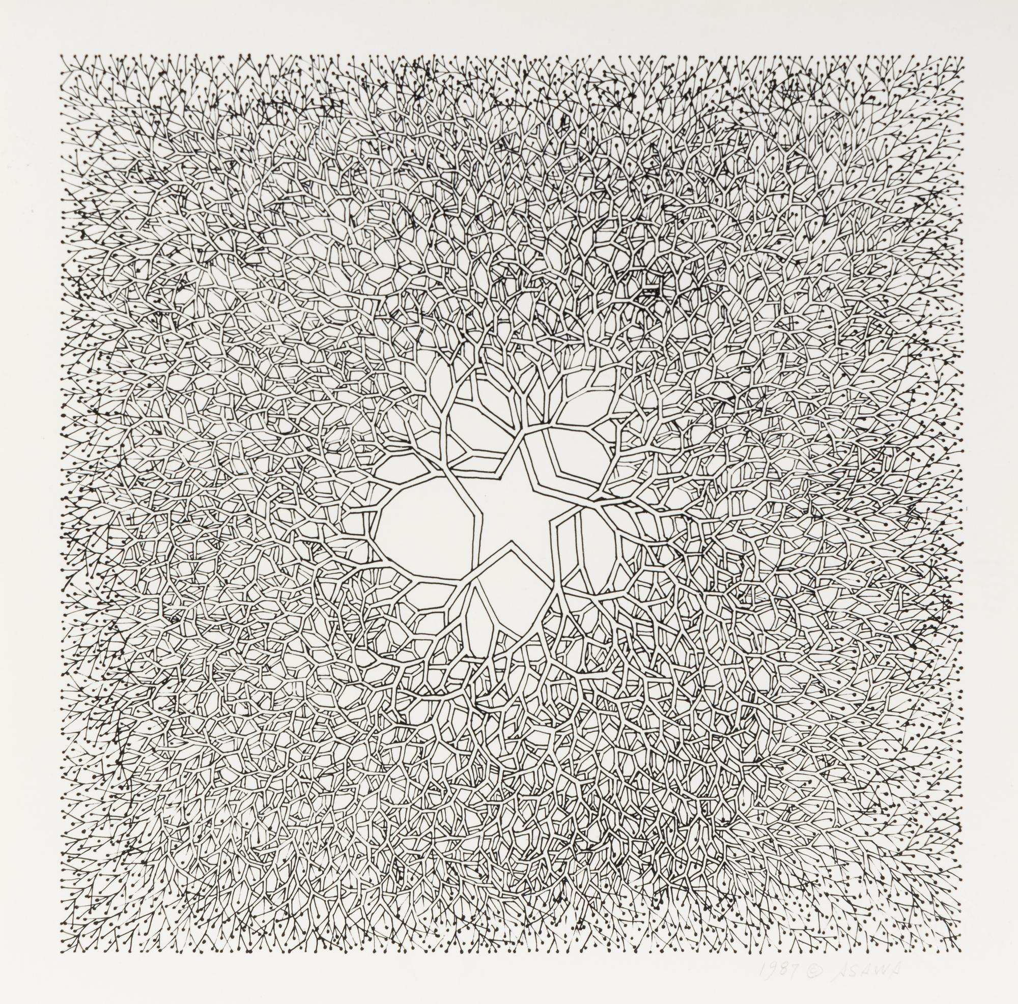 Desert Star (P.004, Tied wire tree with asymmetrical five pointed star in center branching to an enclosed square), 1987