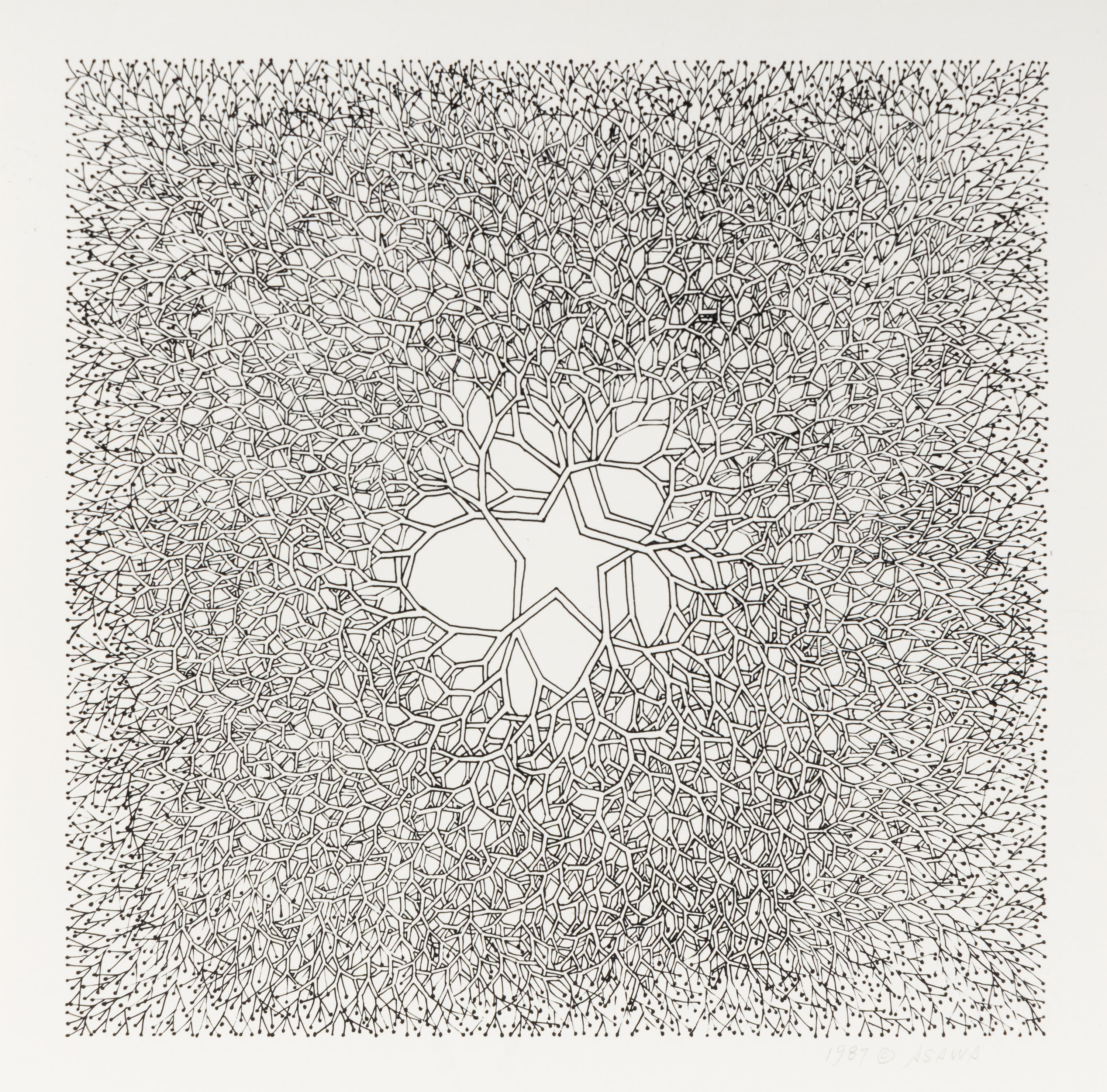 Desert Star (P.004, Tied wire tree with asymmetrical five pointed star in center branching to an enclosed square), 1987