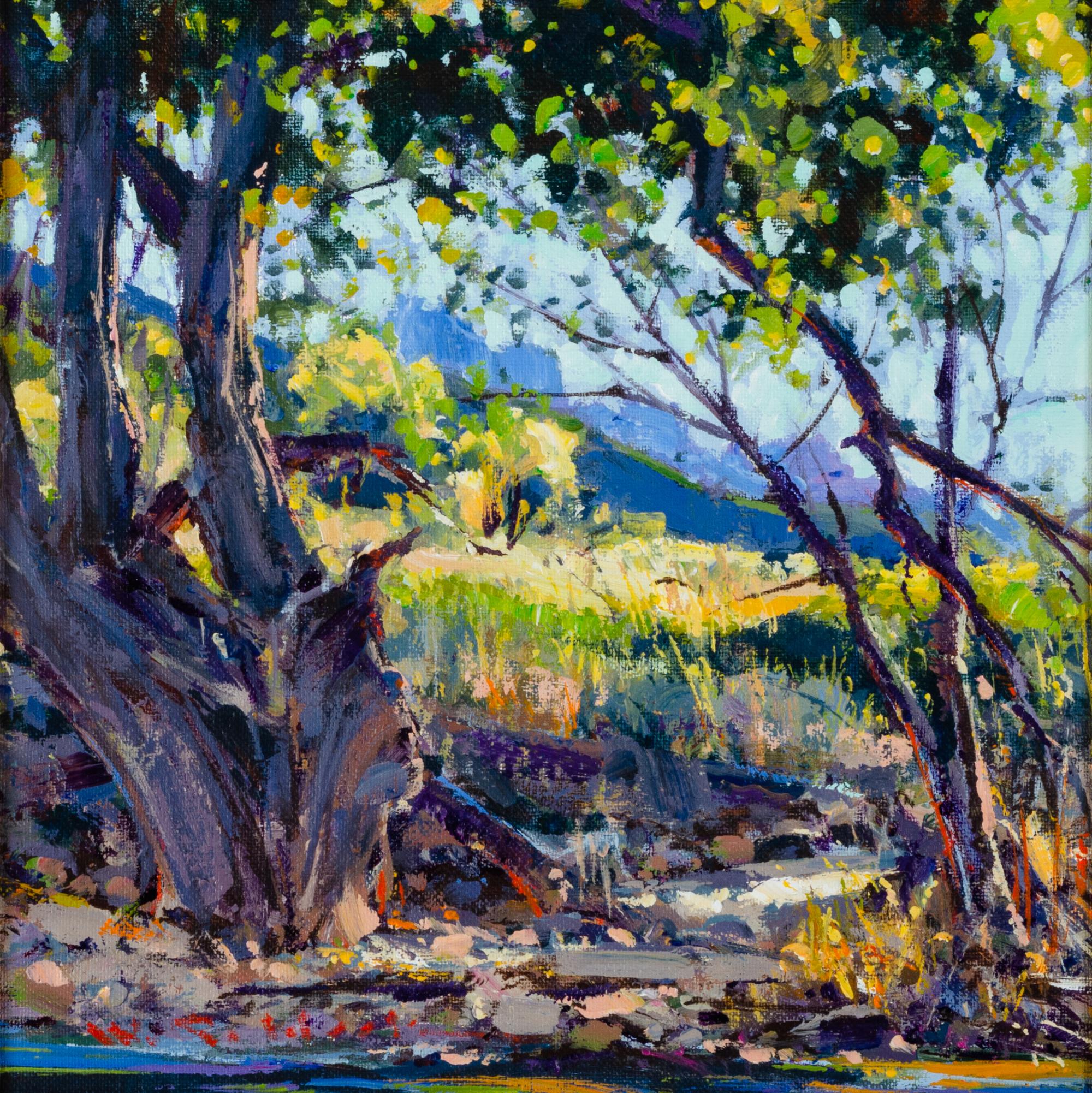 William Cather Hook (American, b. 1948)