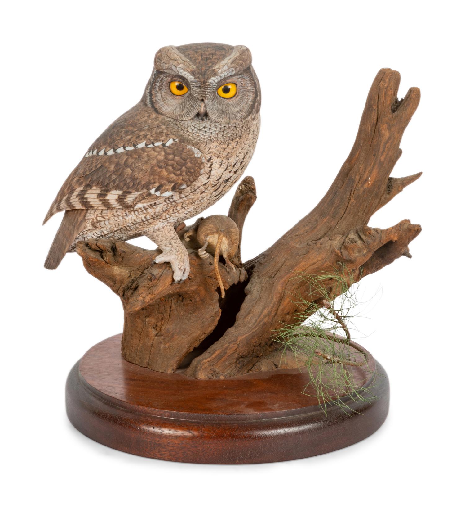Otus Asio (Eastern Screech Owl)