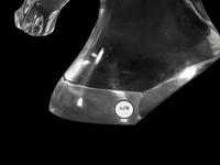 A Lalique Tête de Cheval Sculpture