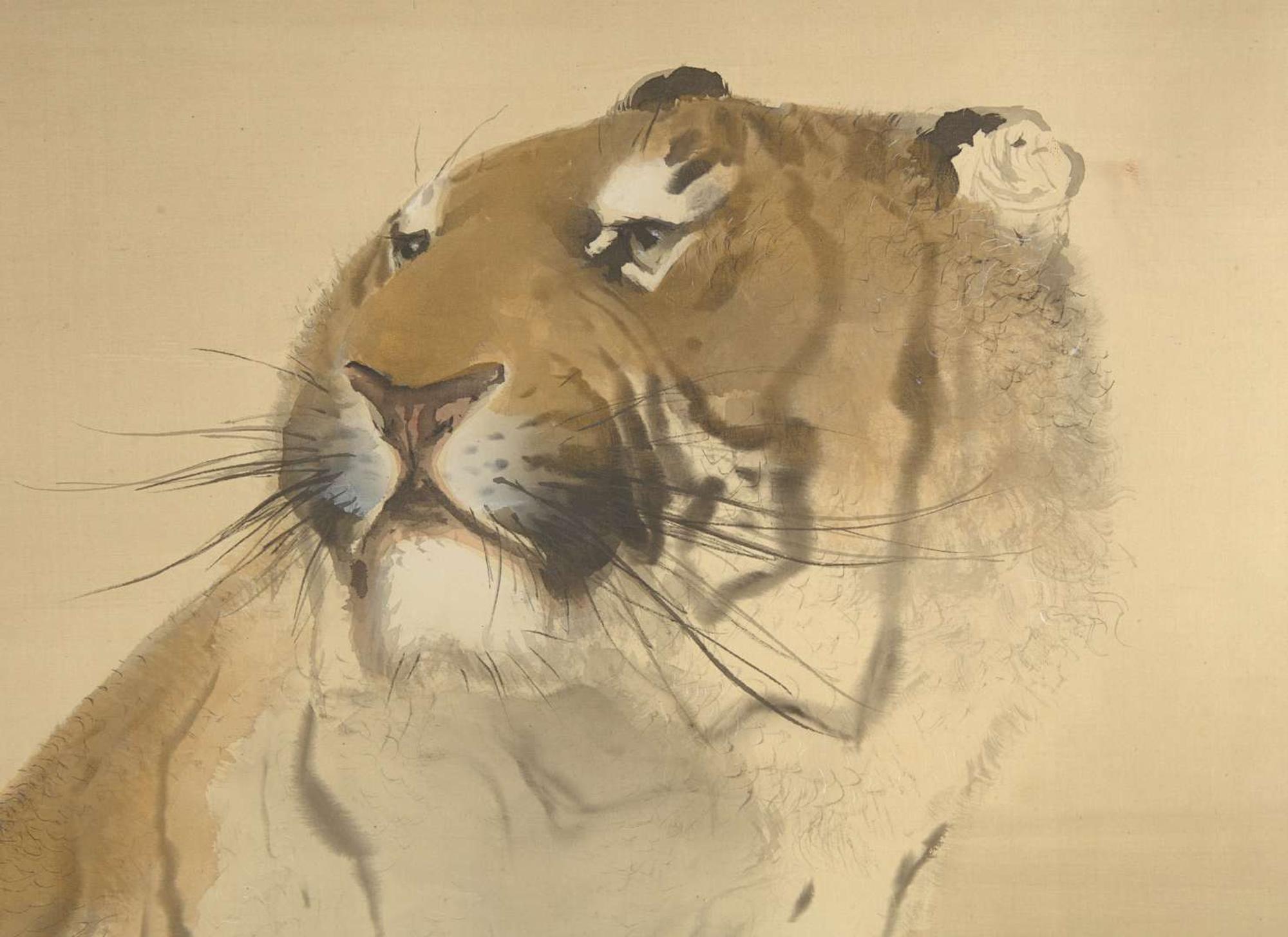 Konoshima Okoku (Japanese, 1877-1938) Seated Tiger 木島桜谷（1877-1938）虎