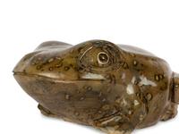 Bullfrog