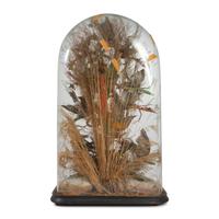 A Victorian Bird Taxidermy Diorama