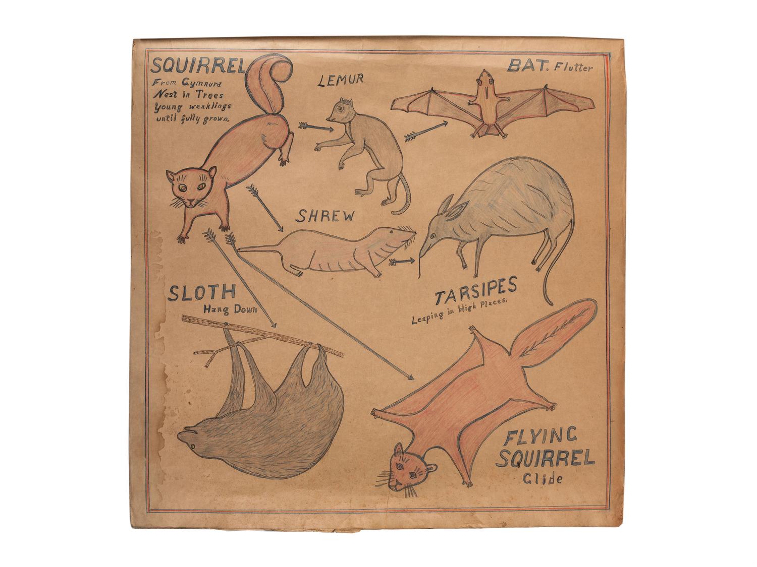 A Bound Set of Folk Art Scientific Drawings