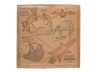 A Bound Set of Folk Art Scientific Drawings