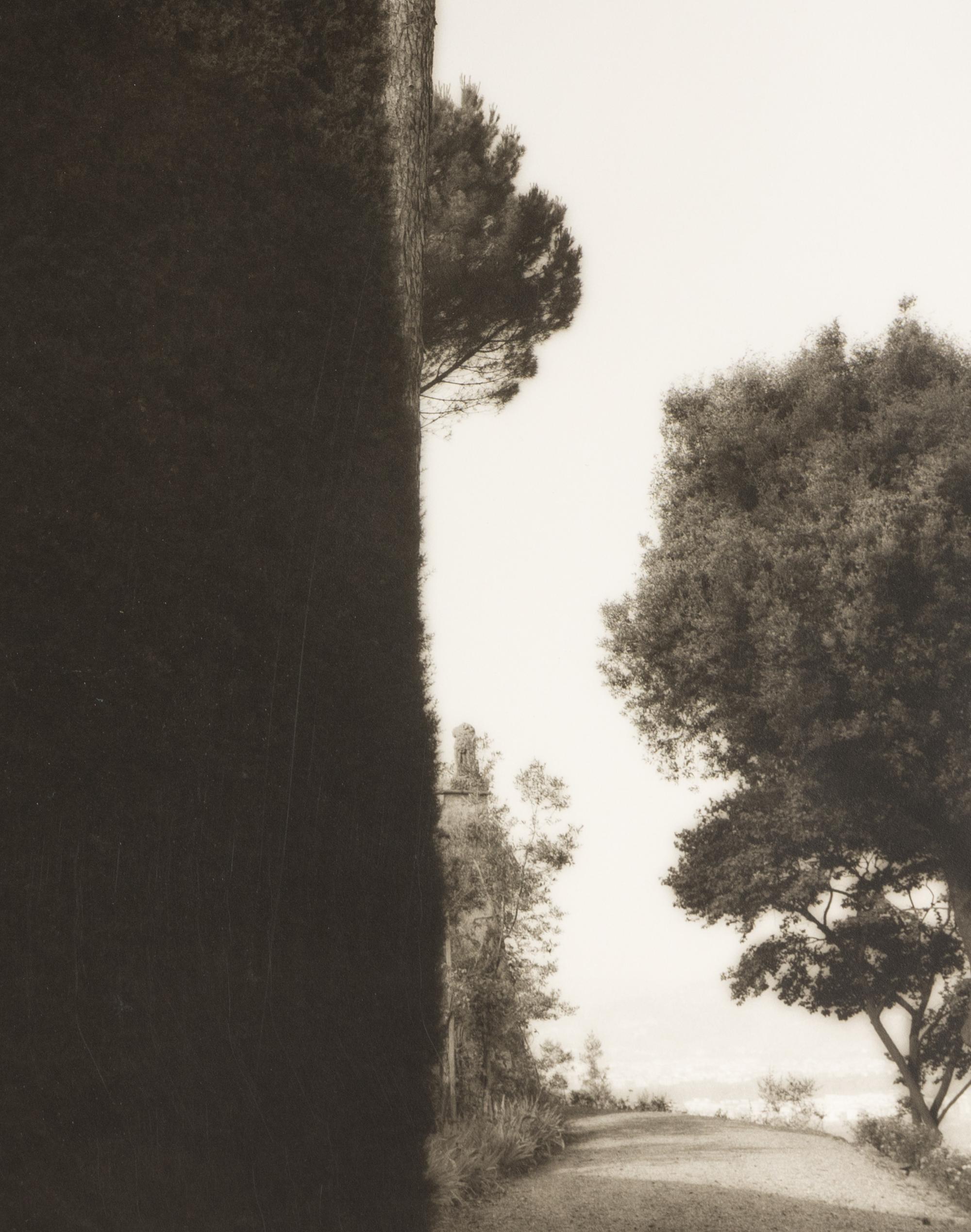 Topiaries and Planter, Knightshayes Court, Devon, England , 1991; Tree and Column, Ostia Antiqua, Italy , 1990; and Tree and Hedge, Villa Gamberaia, Settignano, Italy , 1990 (Three Works)
