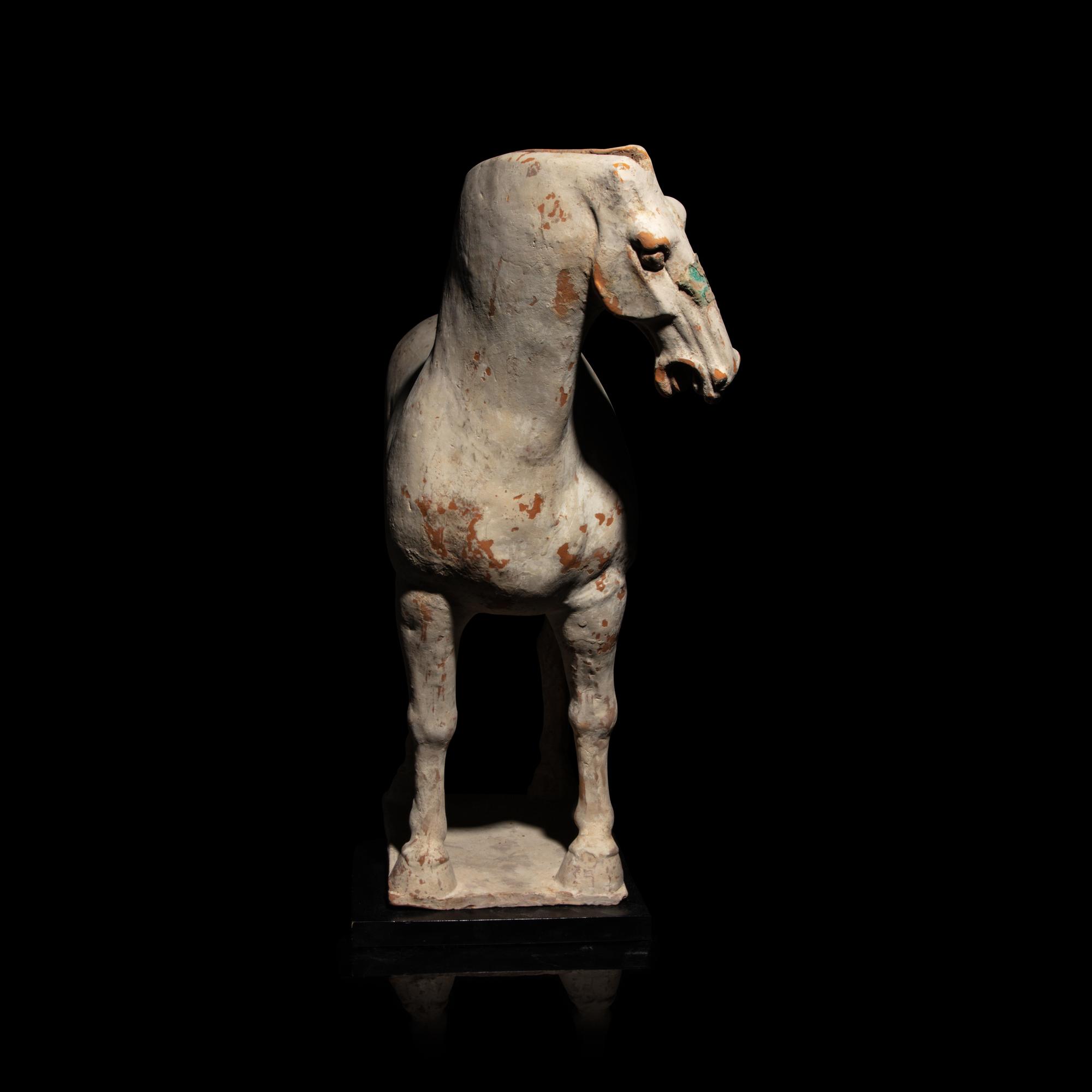 A Chinese Painted Pottery Horse, Tang Dynasty — 唐 白陶馬