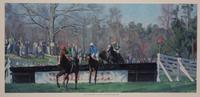Nineteen Equestrian Prints