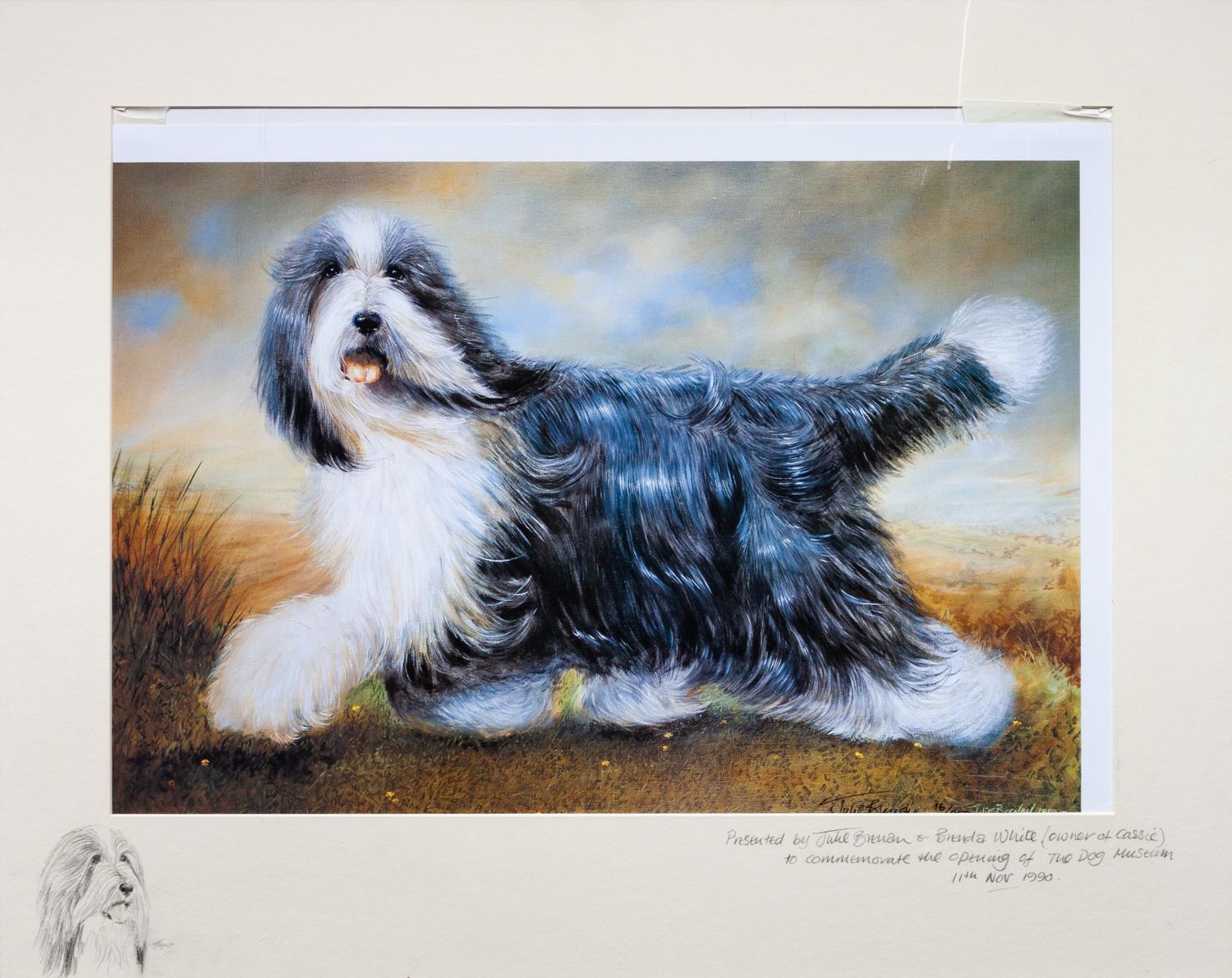 A Photomechanical Reproduction of a Bearded Collie 16 x 22 3/4 inches. — Julie Brennan