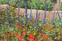 Two Works: Morning Bouquet and Hollyhock Garden