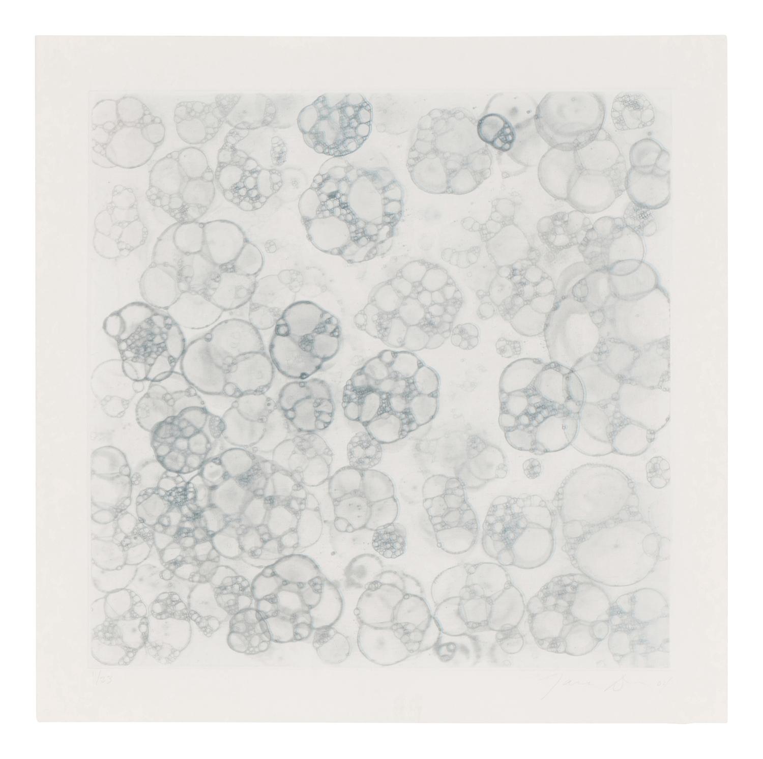 Untitled 1-V (complete set of 5), 2004