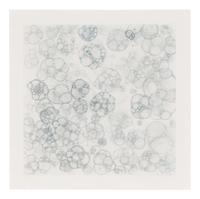 Untitled 1-V (complete set of 5), 2004