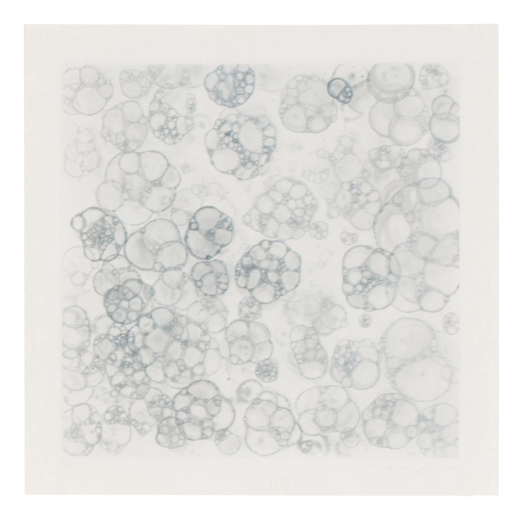 Untitled 1-V (complete set of 5), 2004