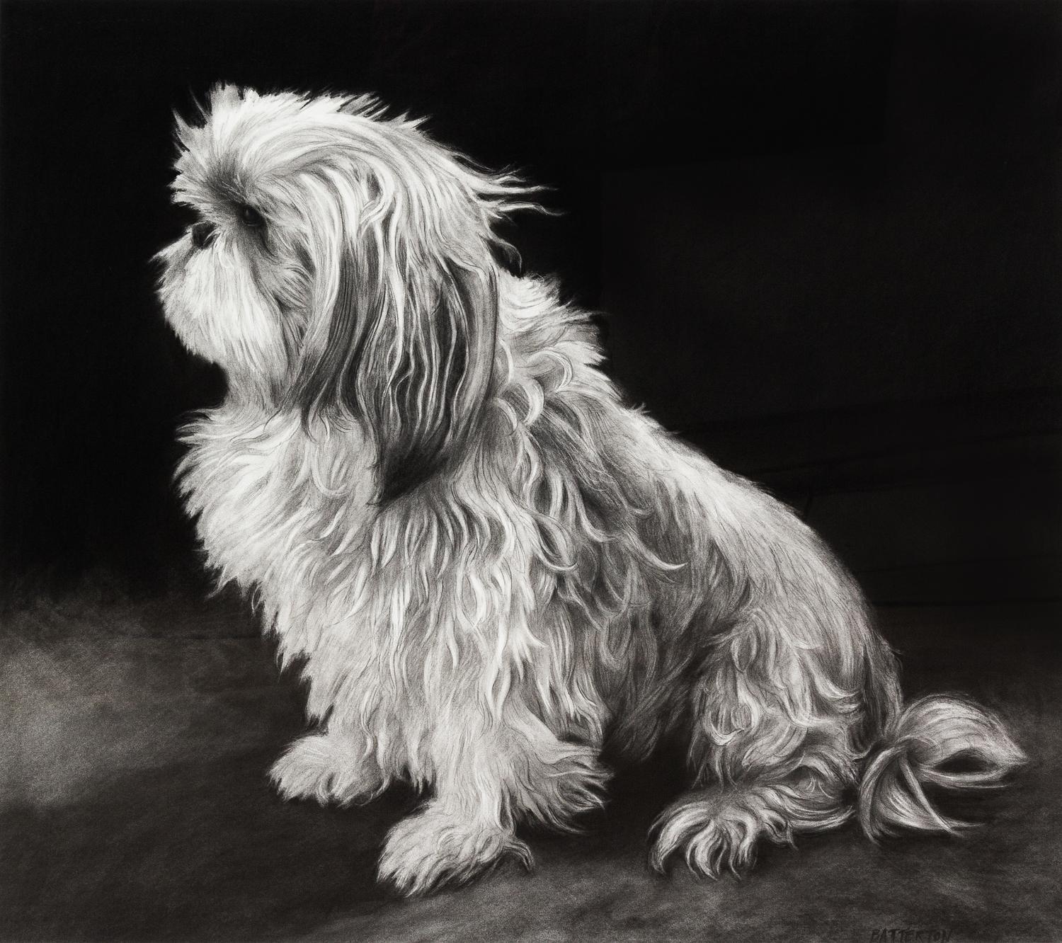 Basil