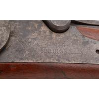 Springfield Model 1879 Trapdoor