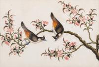 A Set of Twelve Chinese Export Watercolor and Pith Paintings