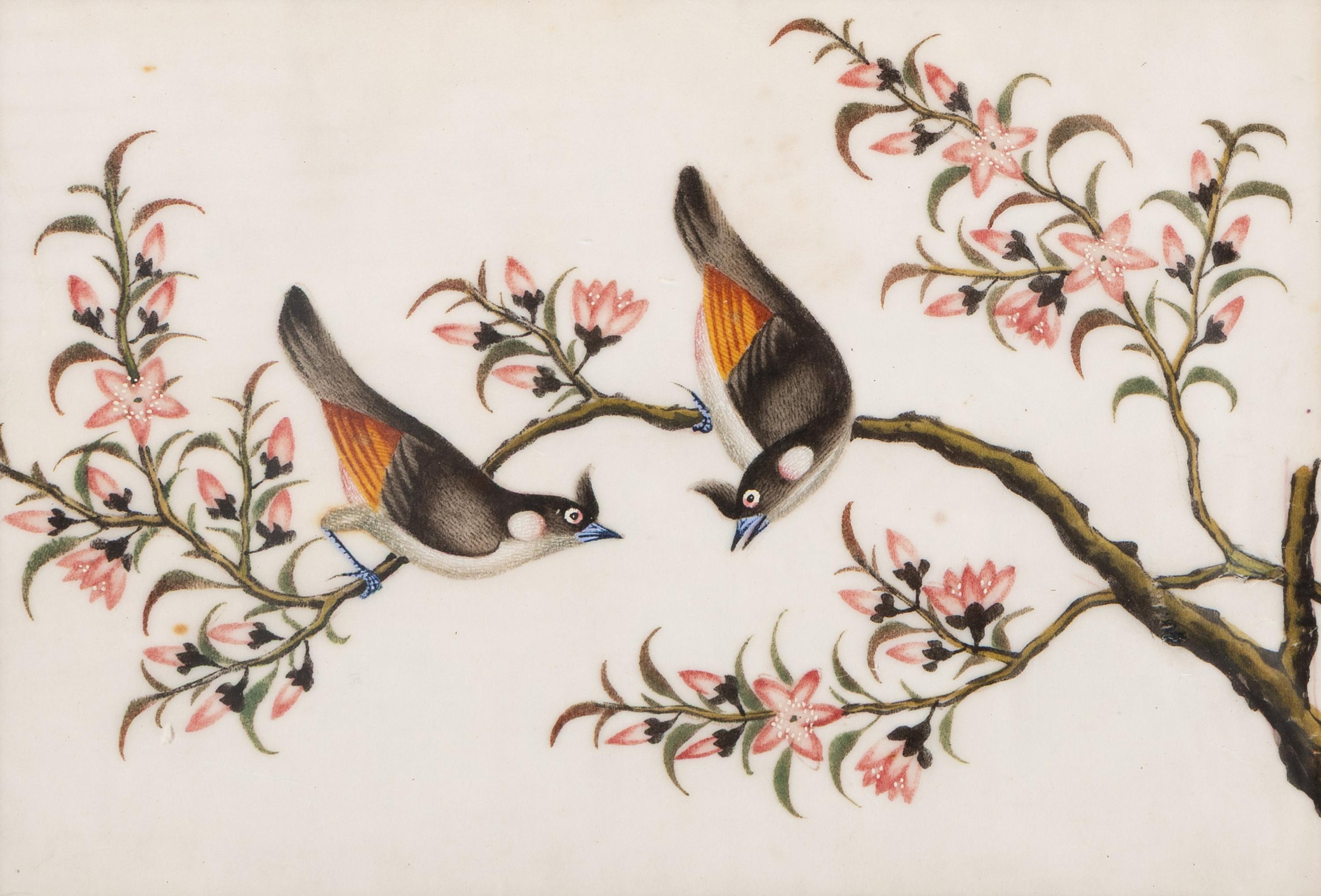 A Set of Twelve Chinese Export Watercolor and Pith Paintings