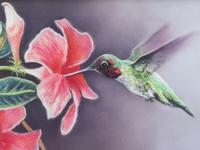 Summer Wings , 1997