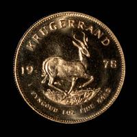 A Group of Twelve South African Kruggerrand 1 oz. Gold Coins