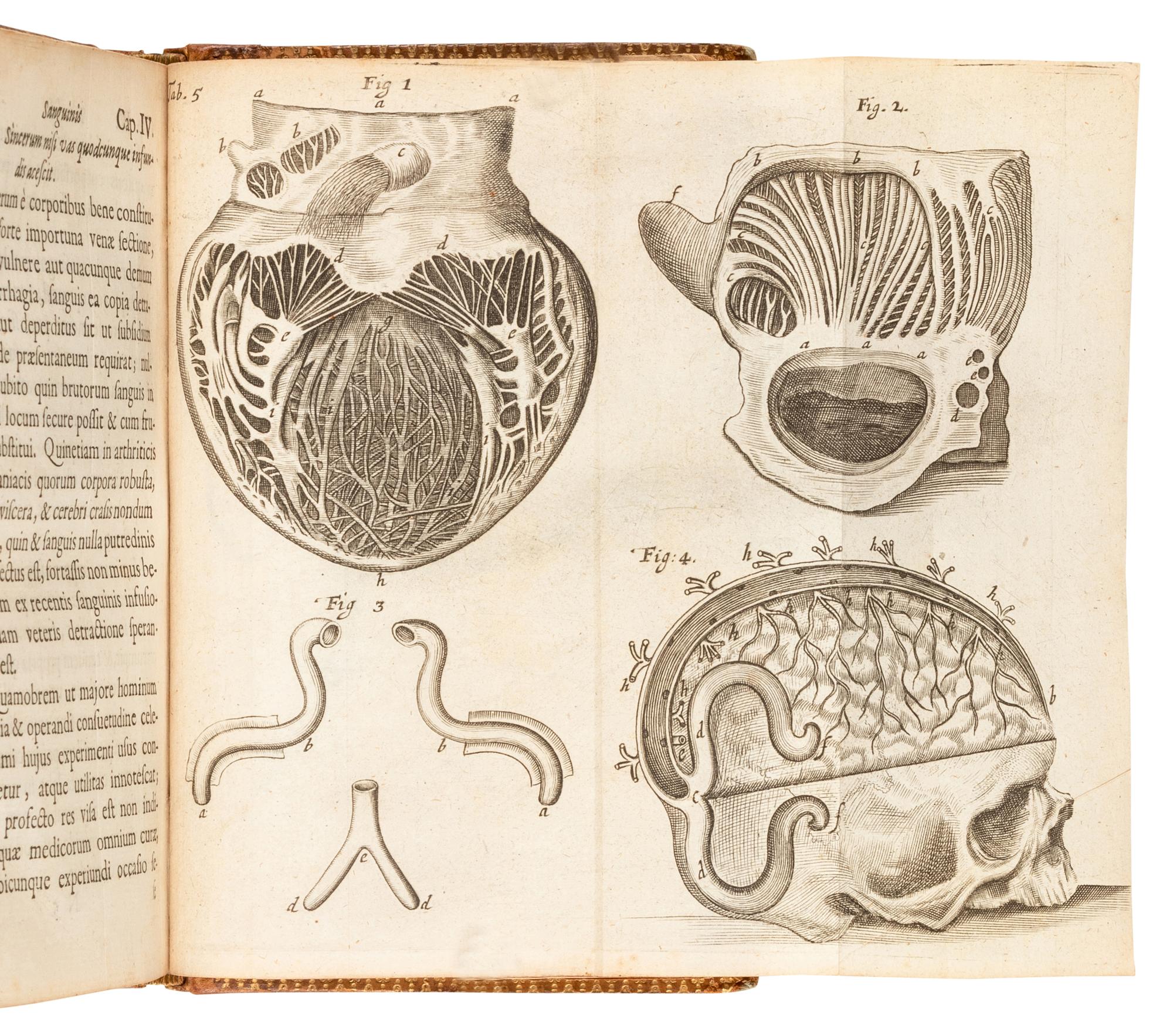 LOWER, Richard (1631-1691). Tractatus de Corde. Item de motu et colore sanguinis et chyli in eum transit . Amsterdam: Daniel Elzevier, 1669.