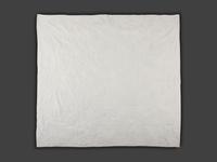 An Applique Whig Rose Quilt and a Pieced Quilt