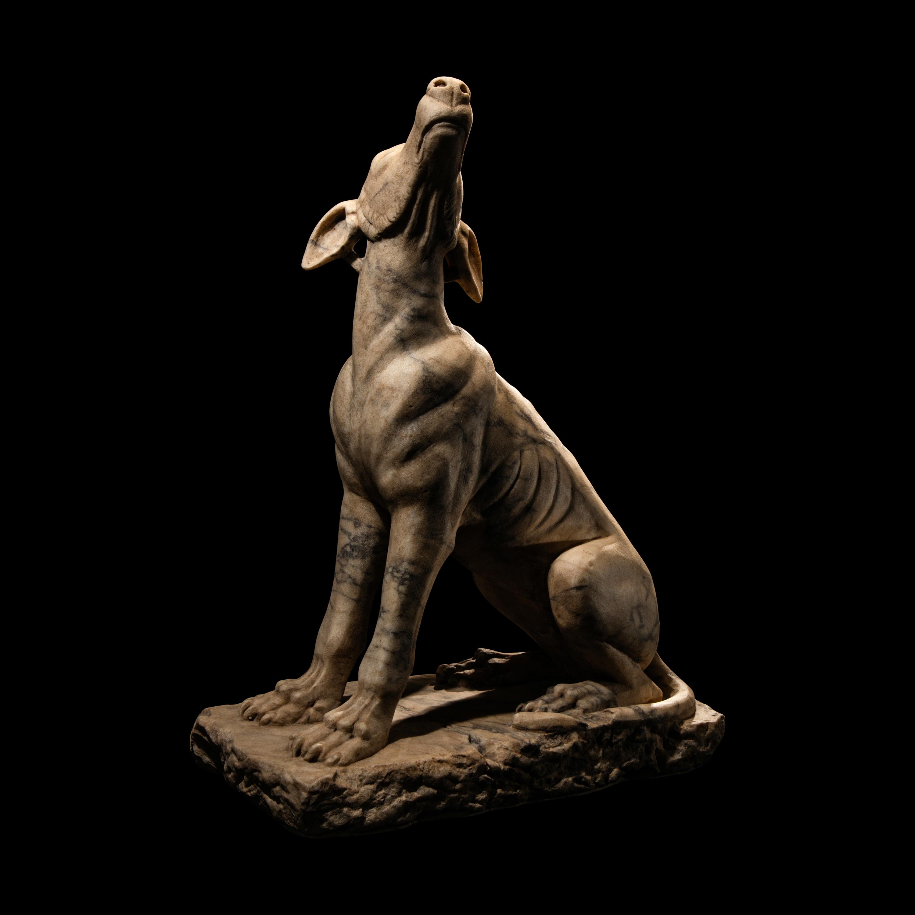 A Roman Pavonazzetto Marble Laconian Hound