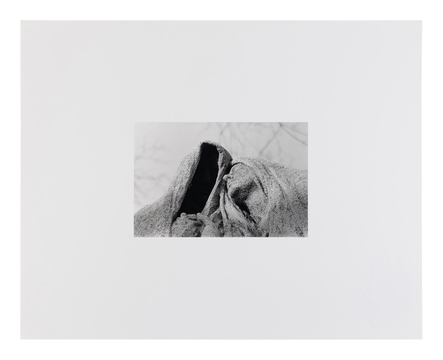 Untitled , 1983 (from BAM Photography Portfolio III ); printed 2008