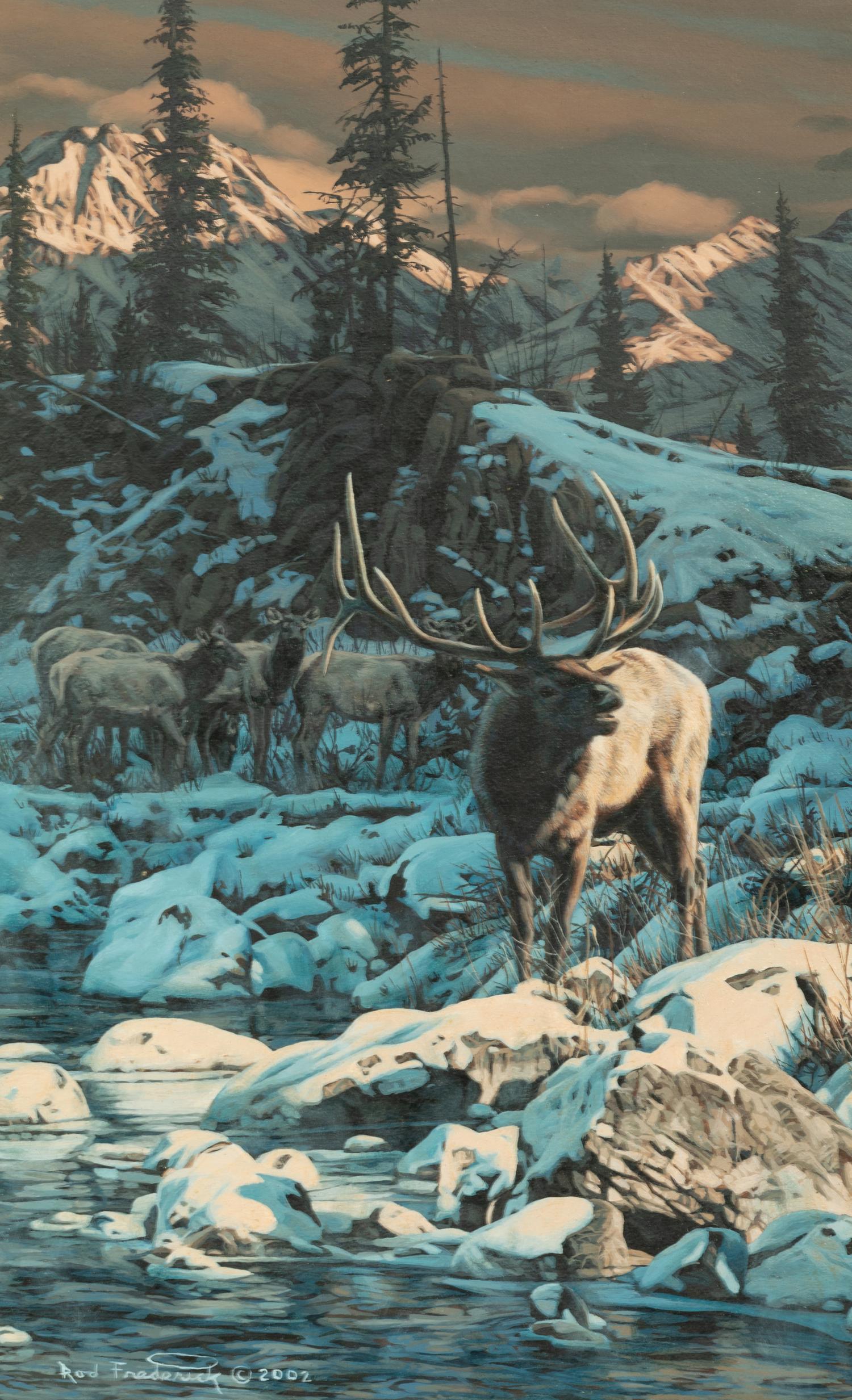 Winter Shadows , 2002