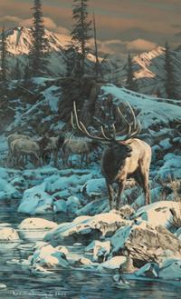 Winter Shadows , 2002