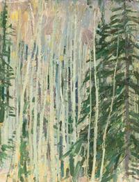 Aspens, Twinning Canyon