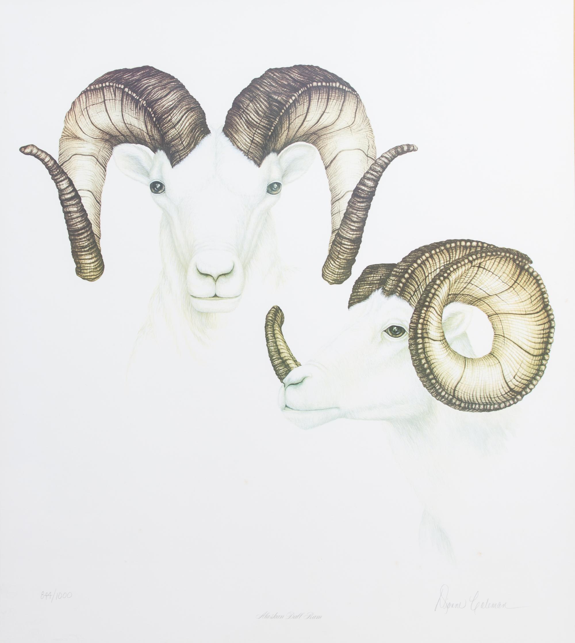 Diane Coleman, (20th Century), Alaskan Dall Ram