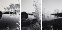 A group of three landscapes