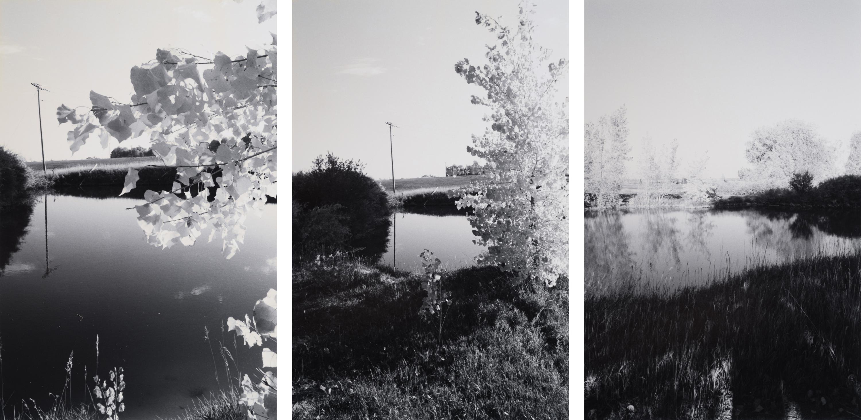 A group of three landscapes