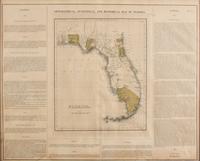 A Geographical, Statistical, and Historical Map of Florida Image: 17 1/4 x 21 3/4 inches — 19TH CENTURY