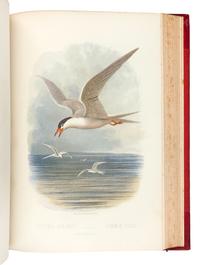 [NATURAL HISTORY]. JONES, Thomas Rymer (1810-1880). Cassell’s Book of Birds. London: Cassell, Petter, and Galpin, [ca 1870].