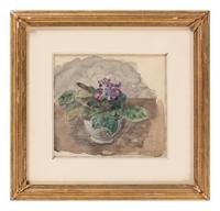 Still Life with African Violets
