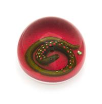 Paul Ysart, (Spanish, 1904-1991), a Gold Snake paperweight