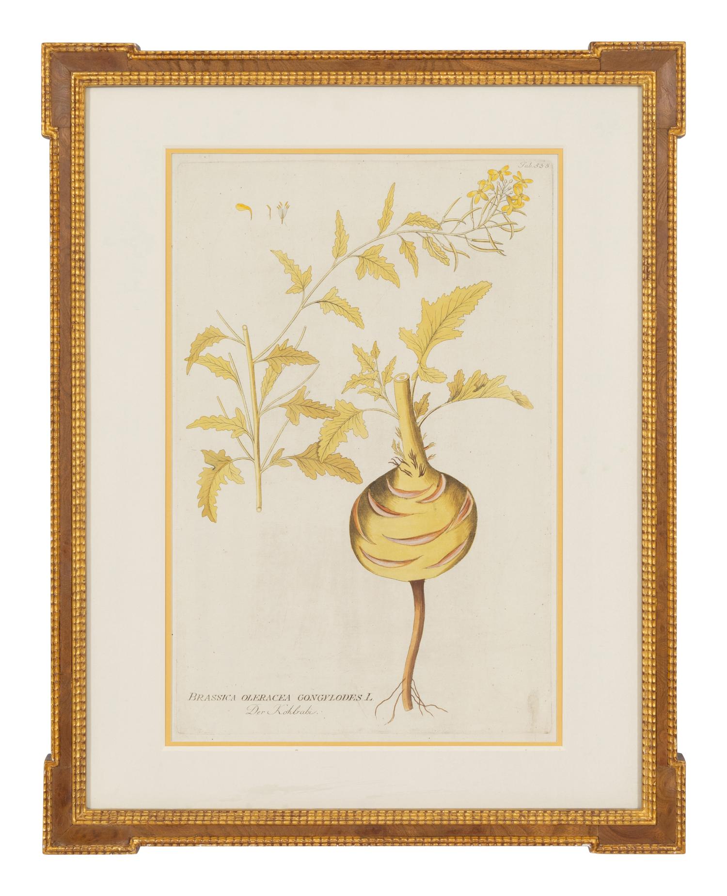A Set of Four Botanical Prints in Gilt Frames