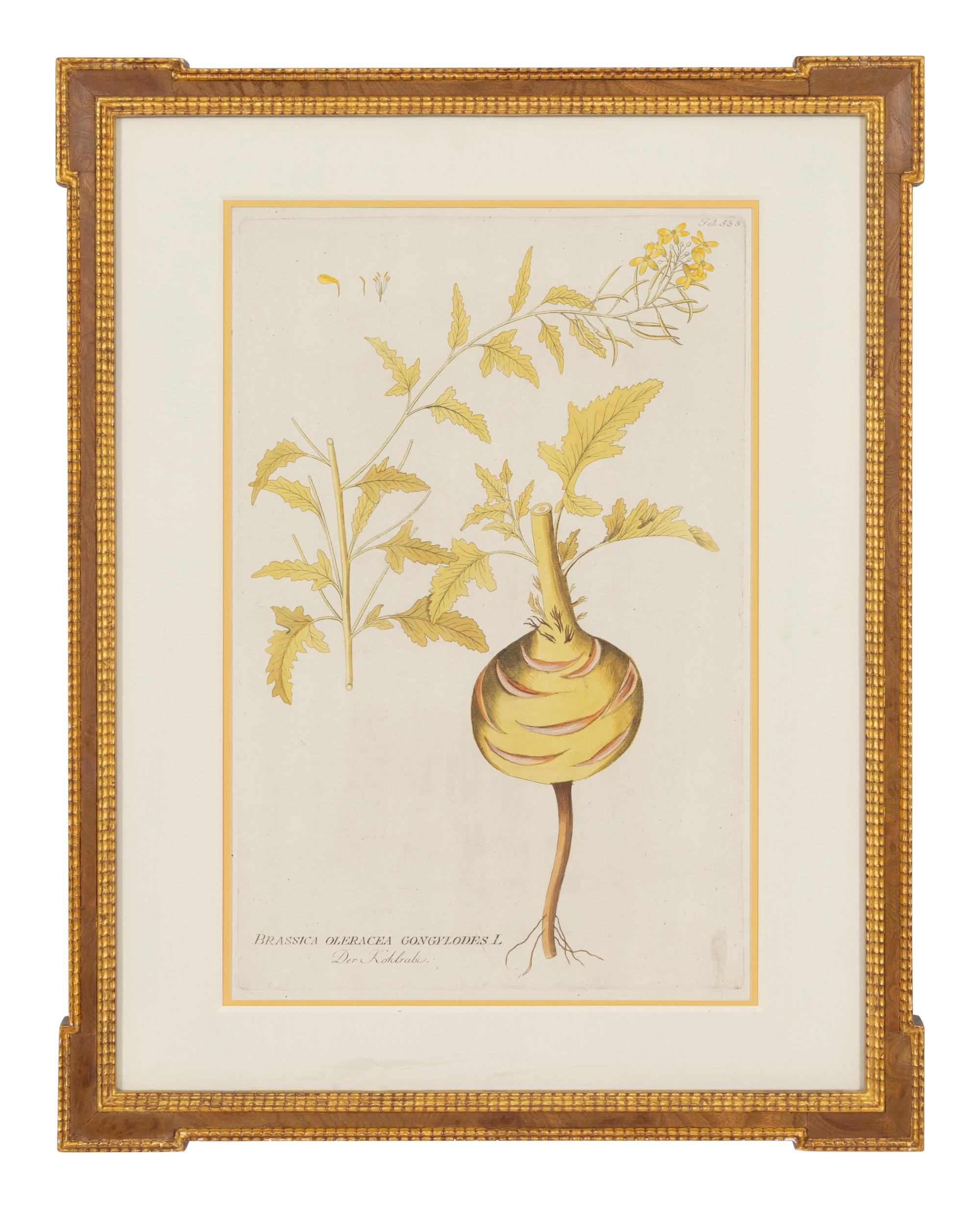 A Set of Four Botanical Prints in Gilt Frames