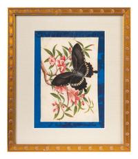 A Group of Six Chinese Pith Paintings of Butterflies and Flowers — 19TH/20TH CENTURY