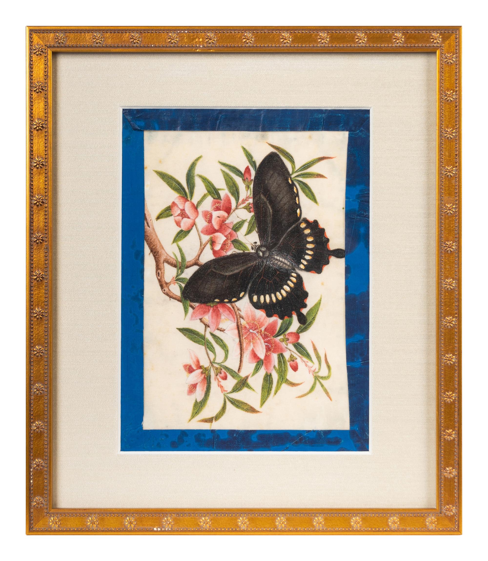 A Group of Six Chinese Pith Paintings of Butterflies and Flowers — 19TH/20TH CENTURY