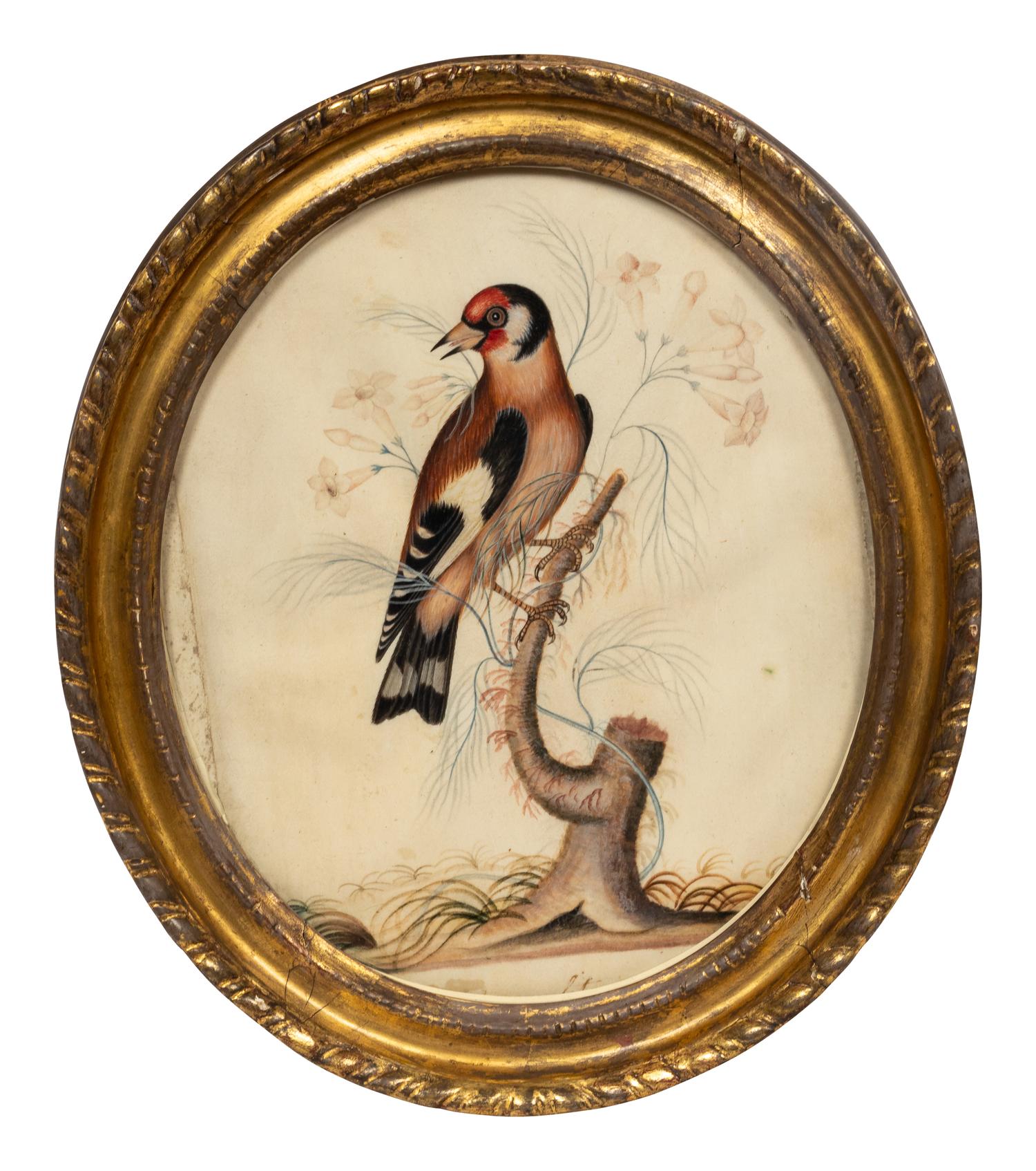James Bolton (British, c. 1740-1799)